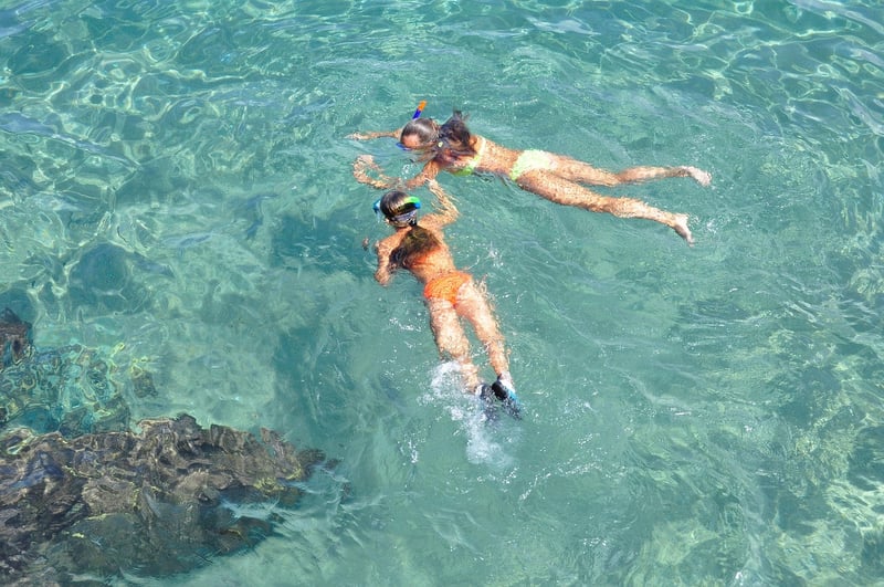 Snorkel